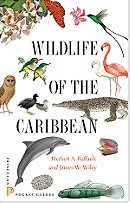 Wildlife of the Caribbean (Princeton Pocket Guides)