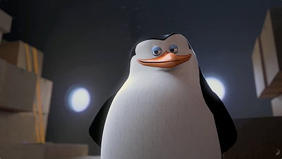 Skipper (duplicate)