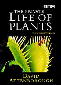 The Private Life of Plants