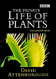 The Private Life of Plants