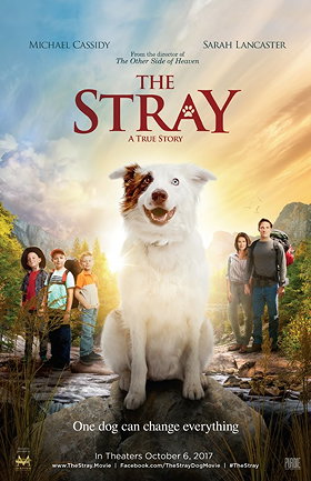 The Stray                                  (2017)