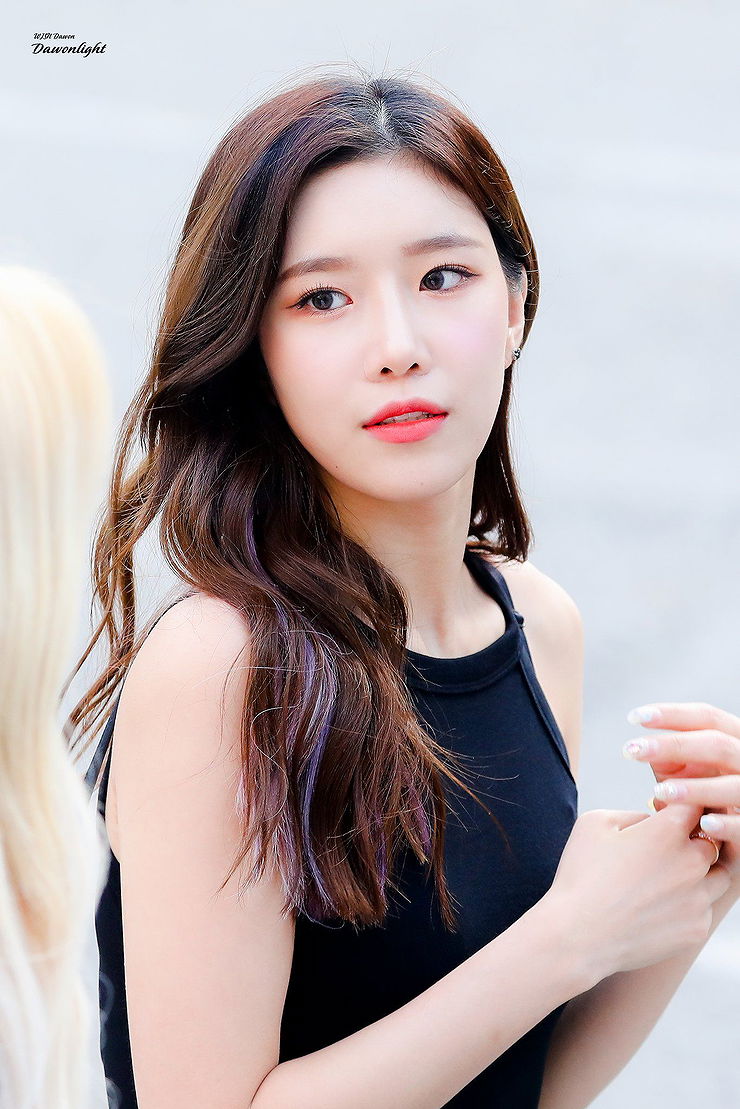 Dawon