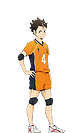 Yuu Nishinoya (duplicate)