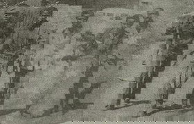 Amanaz