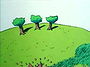 The Exciting Life of a Tree