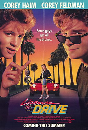 License to Drive