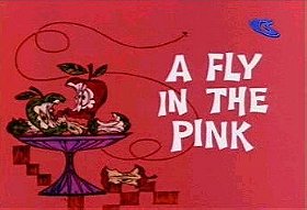 A Fly in the Pink