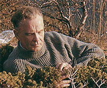 Geirr Tveitt