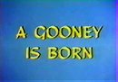 A Gooney Is Born