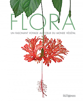 Flora : un fascinant voyage au coeur du monde végétal