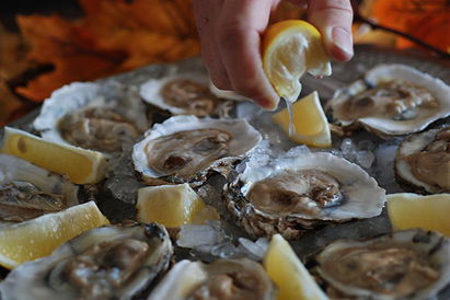 Oysters on the Half Shell