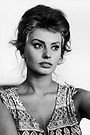 Sophia Loren