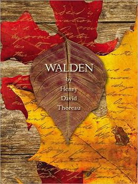 Walden (Fall River Press Edition) [Hardcover] by Henry David Thoreau