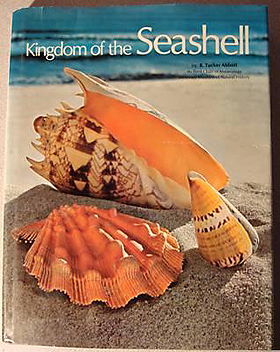 Kingdom of the Seashell