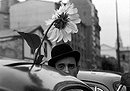 Happy Anniversary                                  (1962)