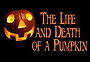 The Life & Death of a Pumpkin