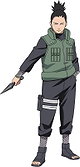 Shikamaru Nara