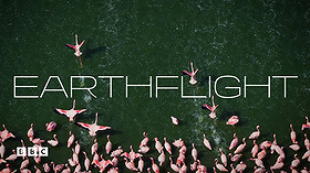 Earthflight