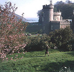 Caerhays Castle