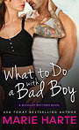 What to Do with a Bad Boy (The McCauley Brothers #4)