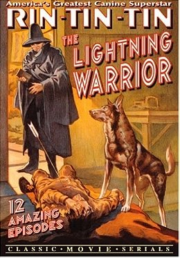 Lightning Warrior [VHS]