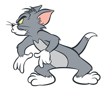 Tom Tom