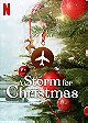 A Storm for Christmas