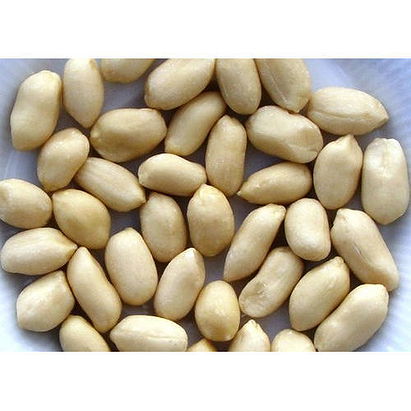Blanched Peanuts Suppliers