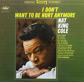 I Don't Want to Be Hurt Anymore