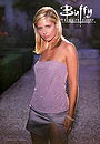 Buffy the Vampire Slayer