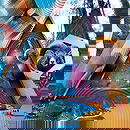 Universal Pulse