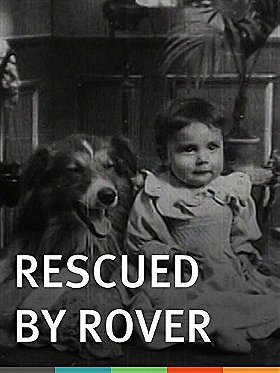 Rescued by Rover