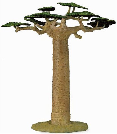 Collect A Baobab Tree