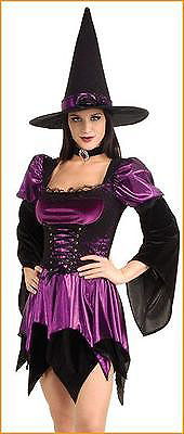 Sexy Witch Adult Halloween Costume Corset NEW Hat Medium Fits Dress Size 10-12
