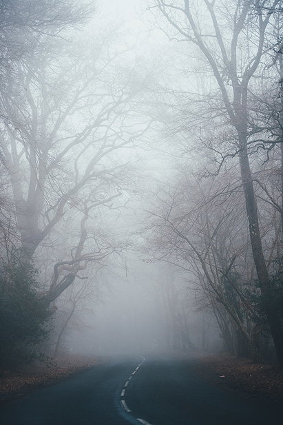 Fog