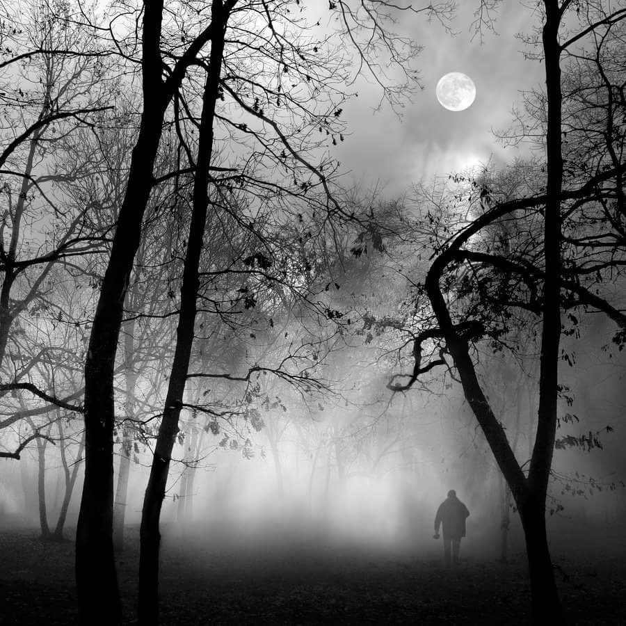 Garth MacIntosh