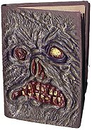 Evil Dead 2 (Book Of The Dead Limited Edition)