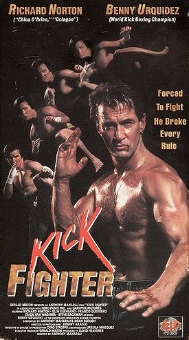 Kick Fighter