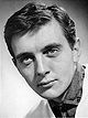 David Hemmings