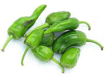 Padrón peppers
