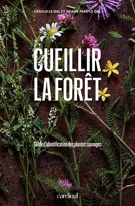 Cueillir la forêt : Guide d’identification des plantes sauvages