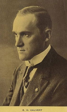 E.H. Calvert