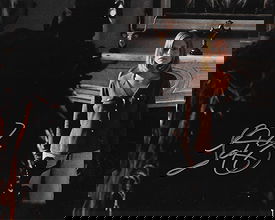 Tammy Lauren pictures and photos