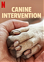 Canine Intervention