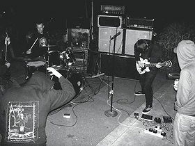 Ash Borer