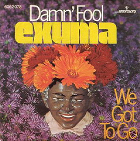 Damn' Fool / We Got to Go single