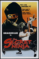 The Secret Ninja