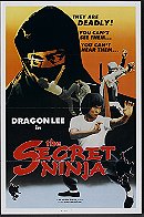 The Secret Ninja