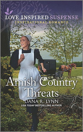 Amish Country Threats (Amish Country Justice, 10)