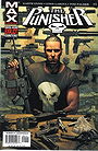 Punisher Max Volume 1: In The Beginning TPB